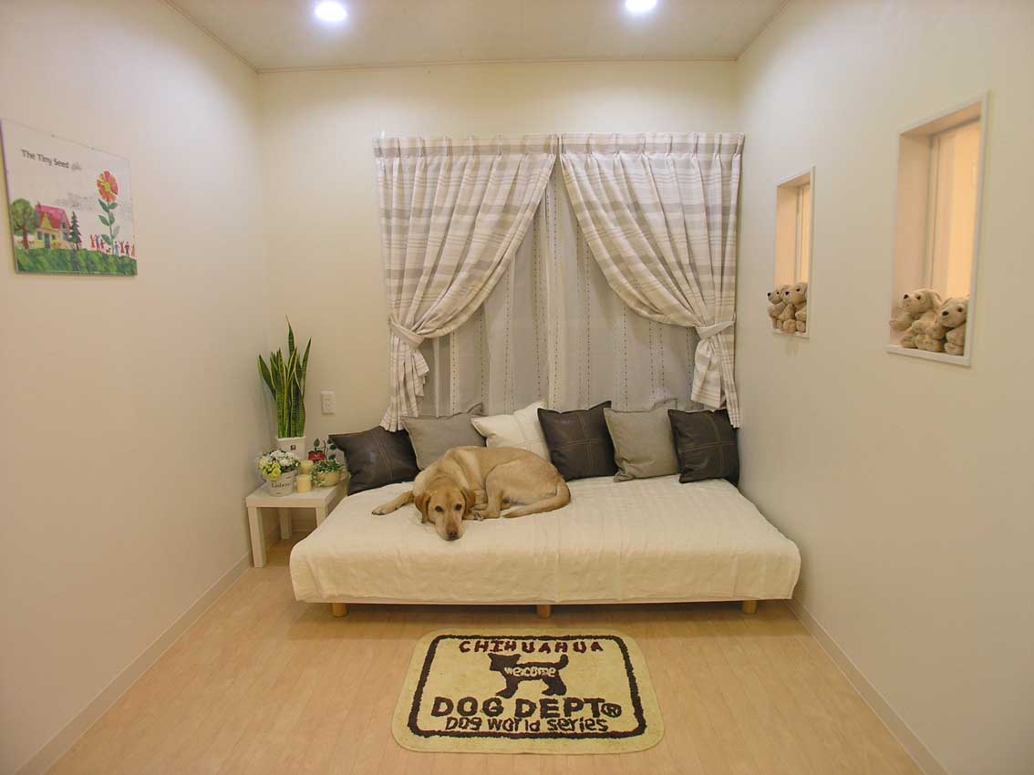 Japan's "Unique" Human Dignity